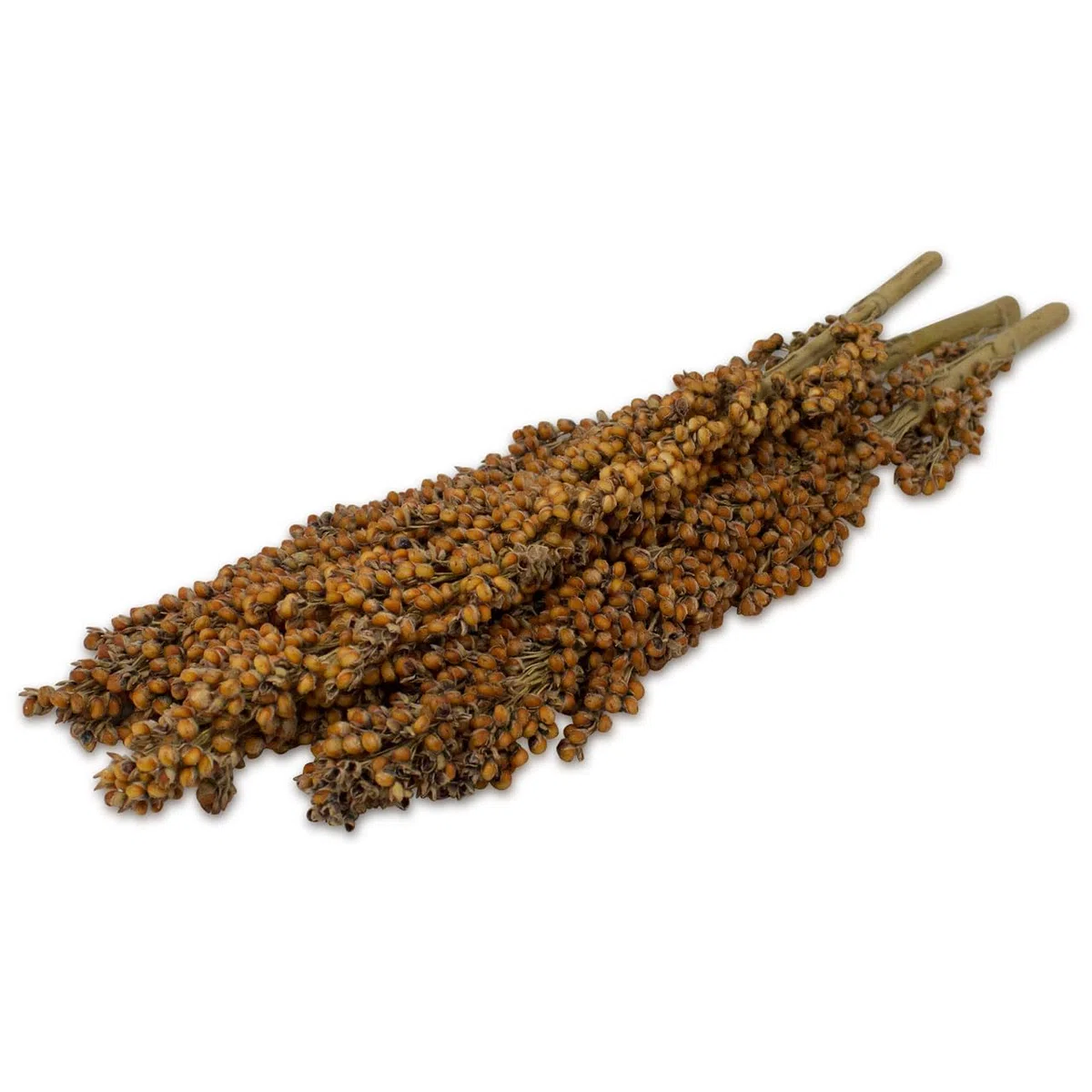 JR FARM Kolba dari gryzonie 100 g