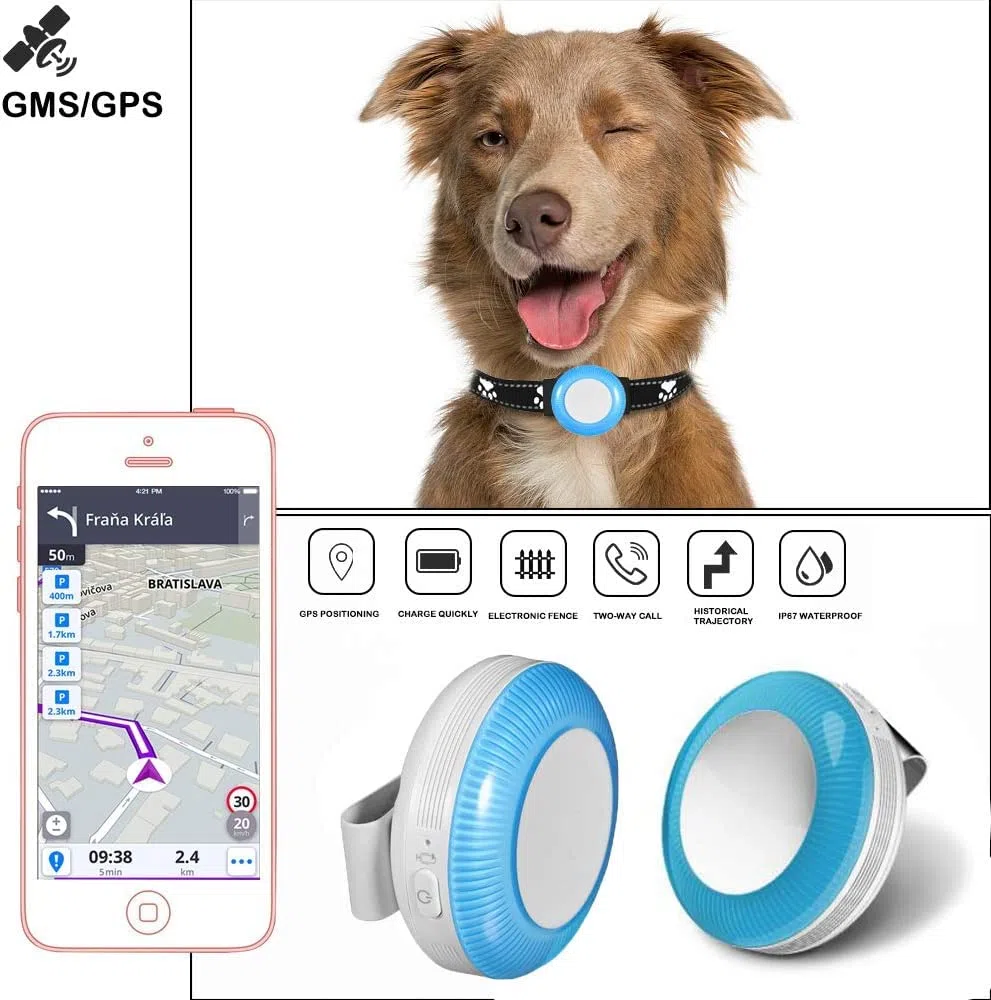 Mini GPS Tracker dla starszych dzieci Zwierzęta domowe Kot Pies Monitorowanie w czasie rzeczywistym/Geo-fence/IP65 Wodoodporny/2-drożny Połączenia głosowe CW802